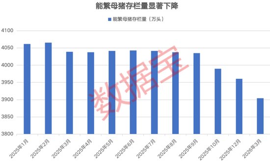 刚刚,美伊冲突再起!中国资产,大爆发!生猪价格显著反弹,多家猪企增持回购彰显信心